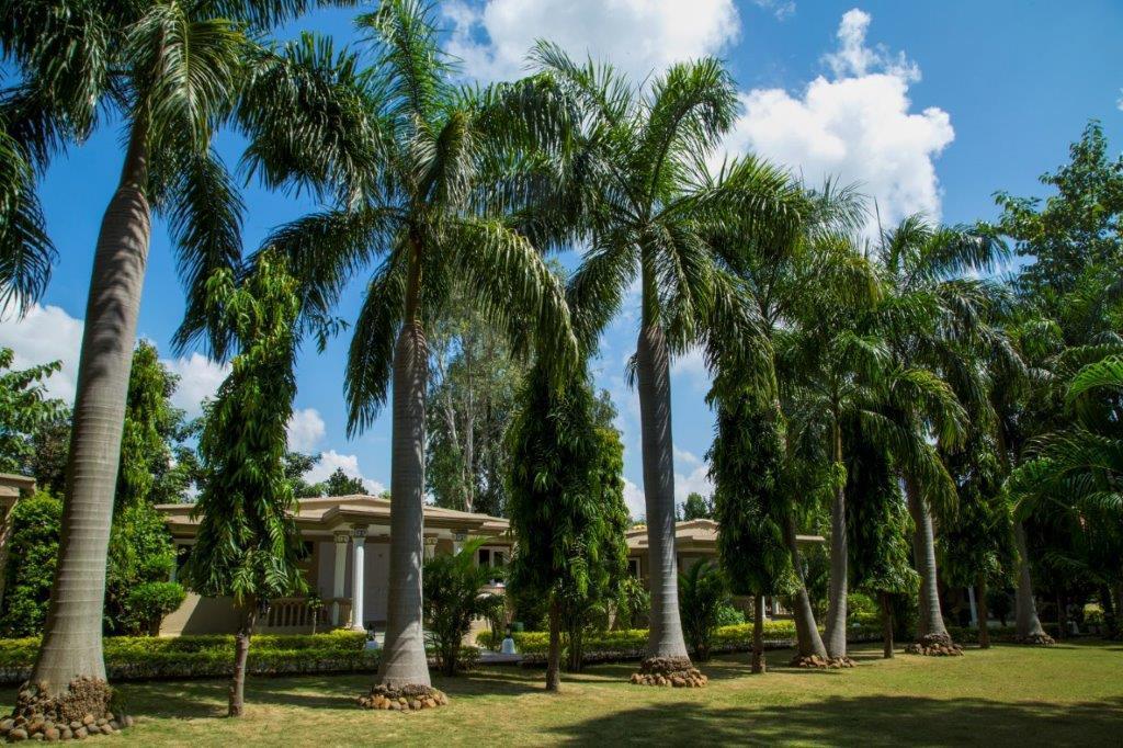 Tiger'S Den Resort Bandhavgarh National Park Buitenkant foto