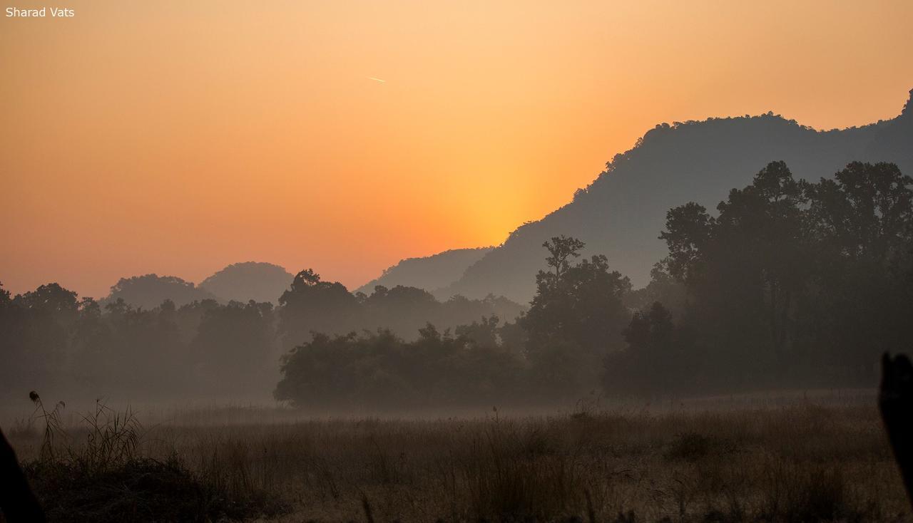Tiger'S Den Resort Bandhavgarh National Park Buitenkant foto
